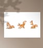 Red Squirrel Large Postcard Print