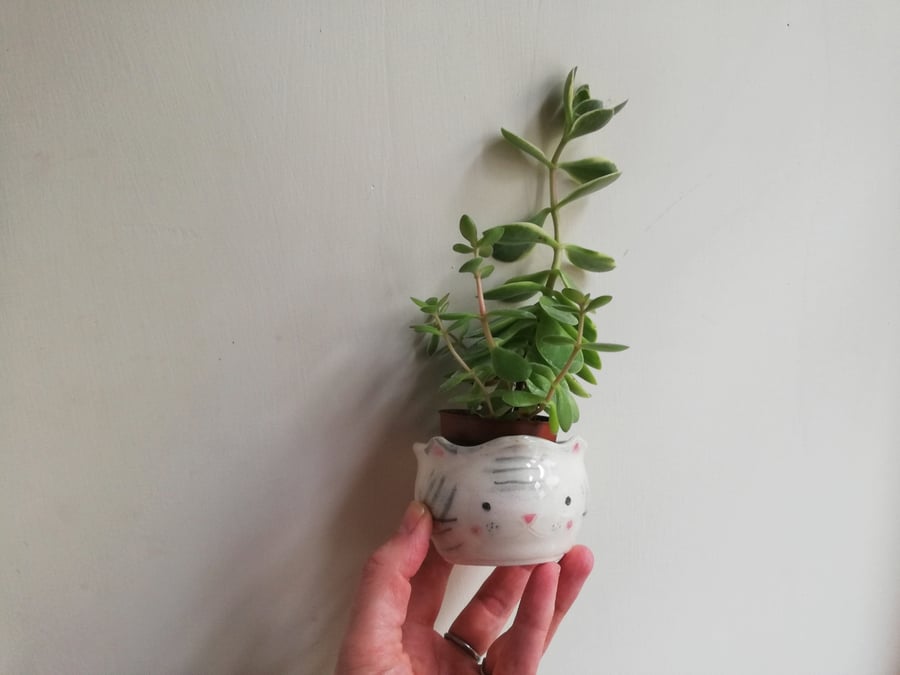 Ceramic handmade kitty cat succulent plant pot pottery handthrown gift