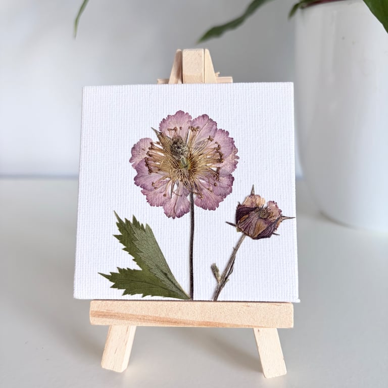 Real Pressed Geum Flower Mini Canvas on Wooden Easel, Botanical Art