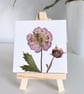 Real Pressed Geum Flower Mini Canvas on Wooden Easel, Botanical Art