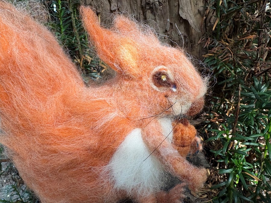 Image of Needle Felted Red Squirrel