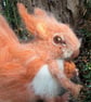 Needle Felted Red Squirrel