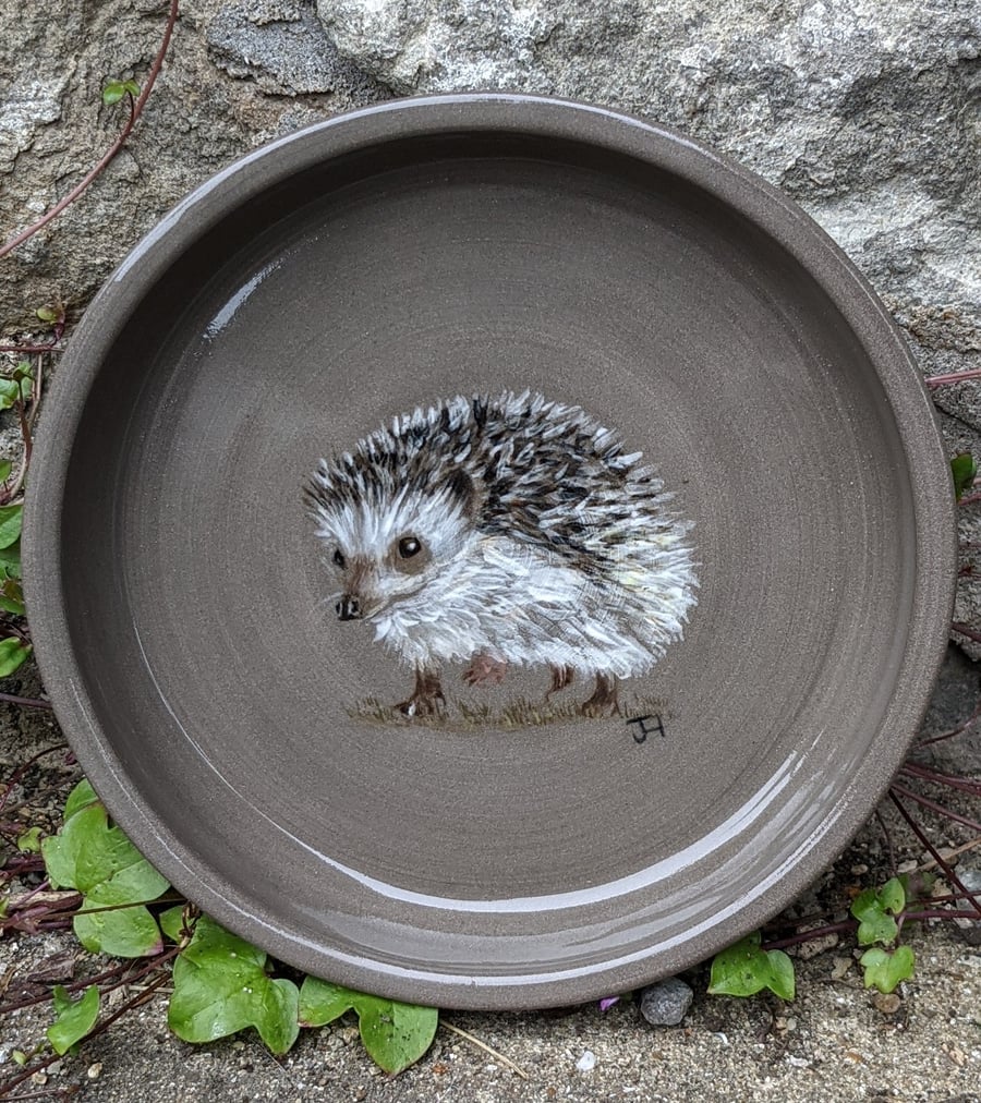 Ceramic Hand Painted Hedgehog Feed Bowl