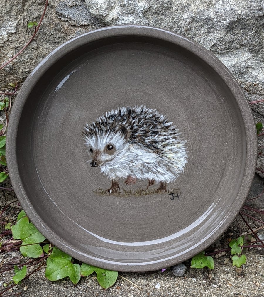 Ceramic Hand Painted Hedgehog Feed Bowl