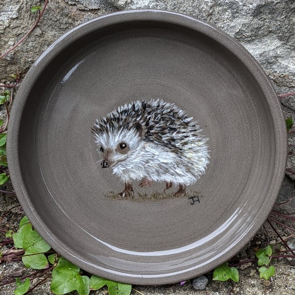Ceramic Hand Painted Hedgehog Feed Bowl