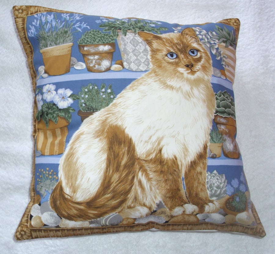 Beautiful  cream cat sitting on a shelf cushion