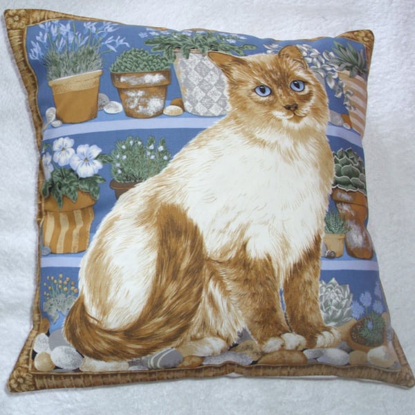 Beautiful  cream cat sitting on a shelf cushion
