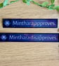 Minthara Approves Disapproves Sticker Set - Holographic Vinyl RPG Decals