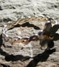 Sterling Silver Flower Ring with 18ct Yellow Gold Accent - Image 6