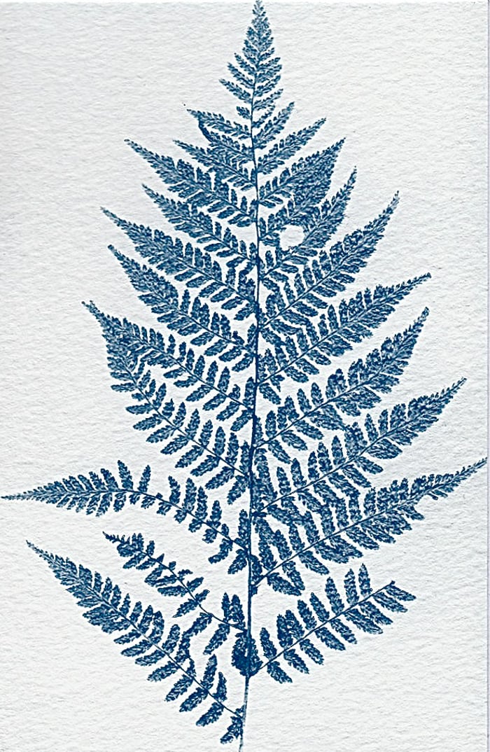 Cyanotype Art