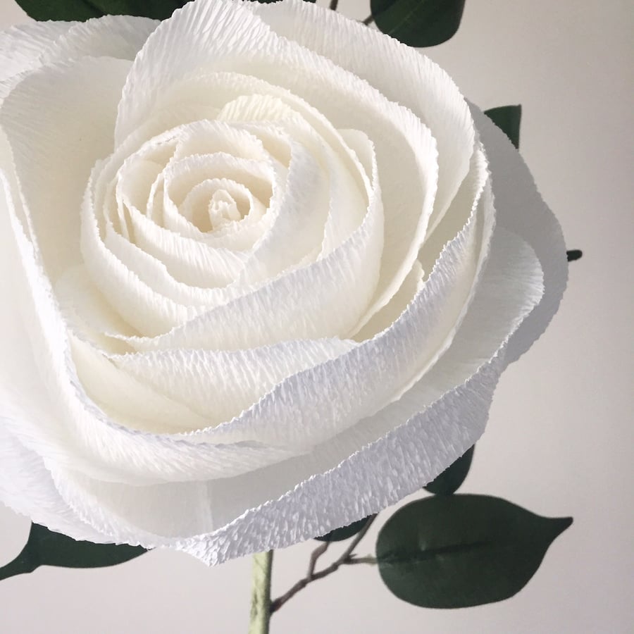 A giant white paper rose