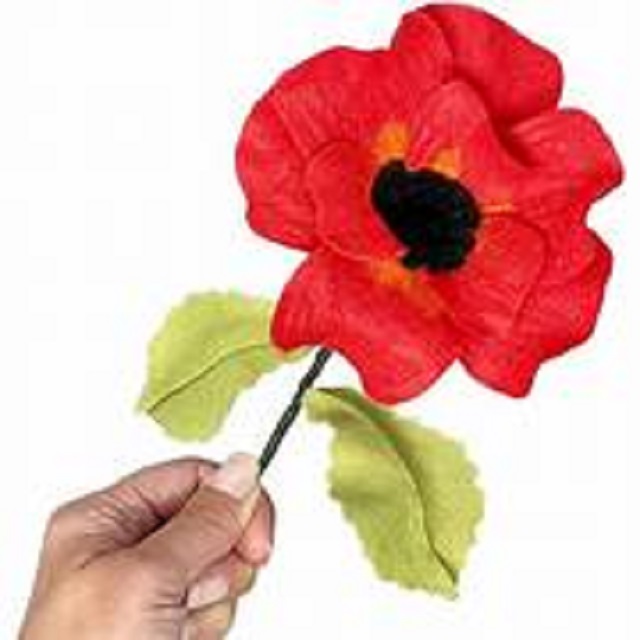 The Crafty Kit Company 'Poppy' Felt Craft Kit
