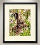 Wild Hare - Image 1