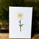 Oxeye Daisy Acrylic Wildflower Painting 