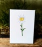 Oxeye Daisy Acrylic Painting 