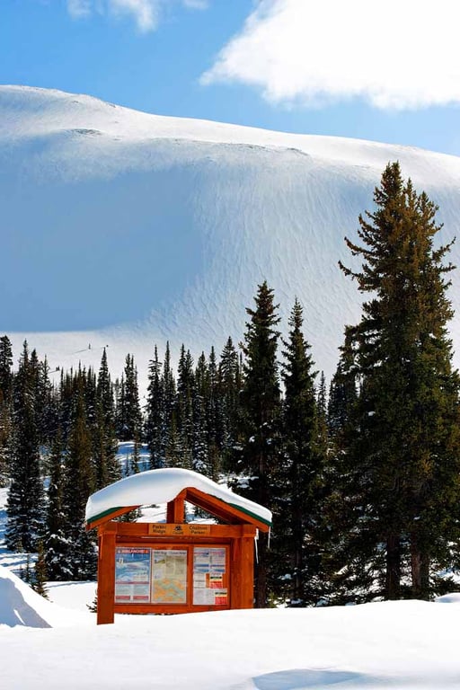 Canadian Rocky Mountains Icefields Parkway Canada Photograph Print