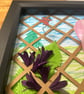 Wild poppies and flowers picture - Image 3