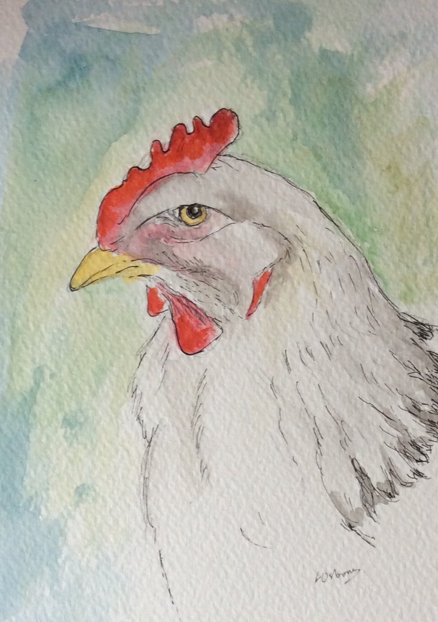 White chicken - Original watercolour painting of a hen. Farm animal.