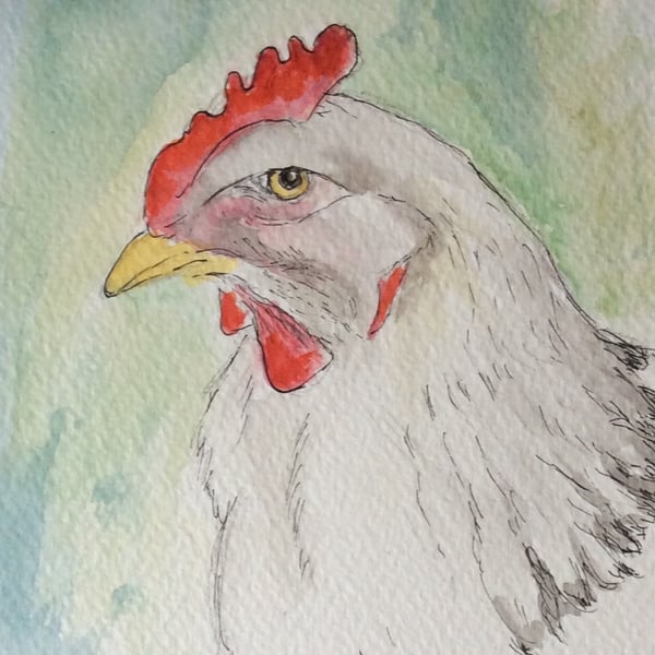 White chicken - Original watercolour painting of a hen. Farm animal.