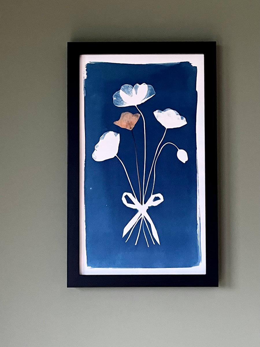 A Posy of Poppies with Pressed Flower