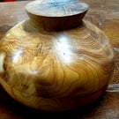 Yew wood treasure pot 12cm x 6cm