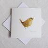 Wren square card