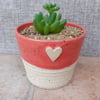 Succulent or cactus holder planter handmade stoneware handthrown pottery ceramic