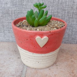 Succulent or cactus holder planter handmade stoneware handthrown pottery ceramic