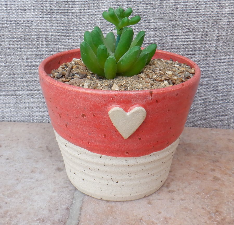 Succulent or cactus holder planter handmade stoneware handthrown pottery ceramic