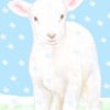 Lamb Christmas Card