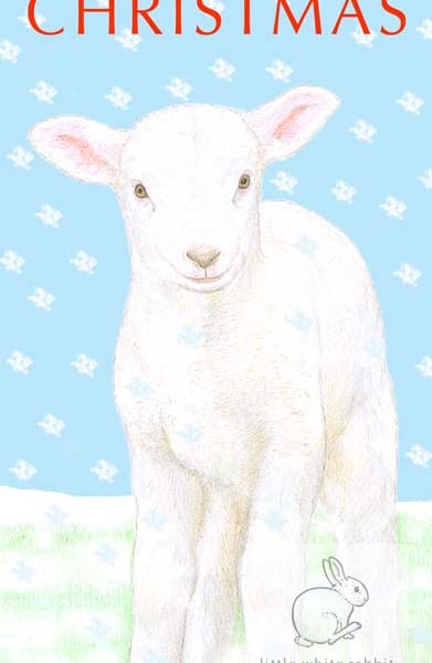 Lamb Christmas Card