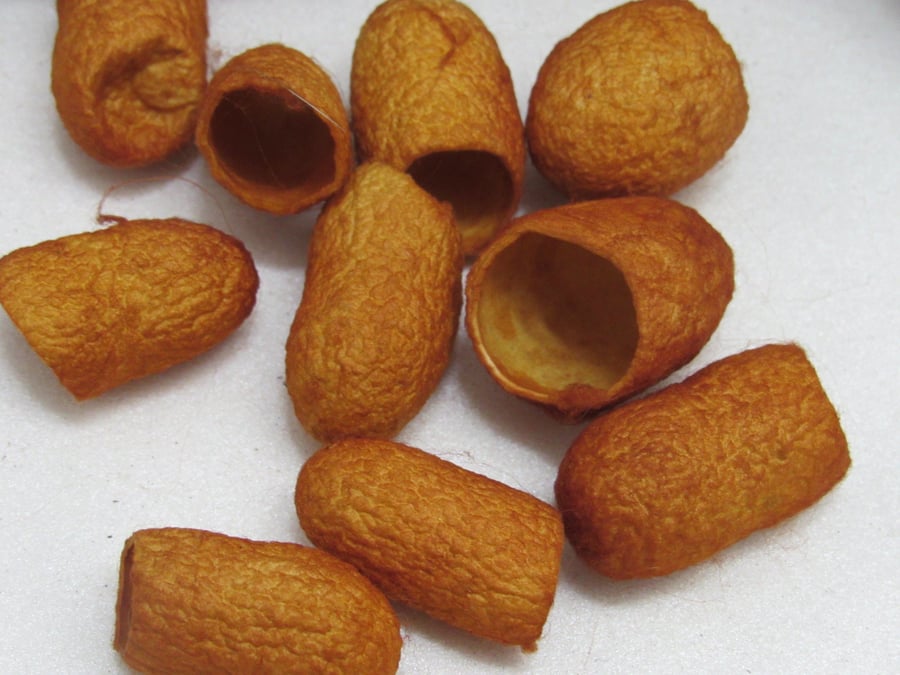 10 Onion Golden Brown Naturally Dyed Silk Cocoons