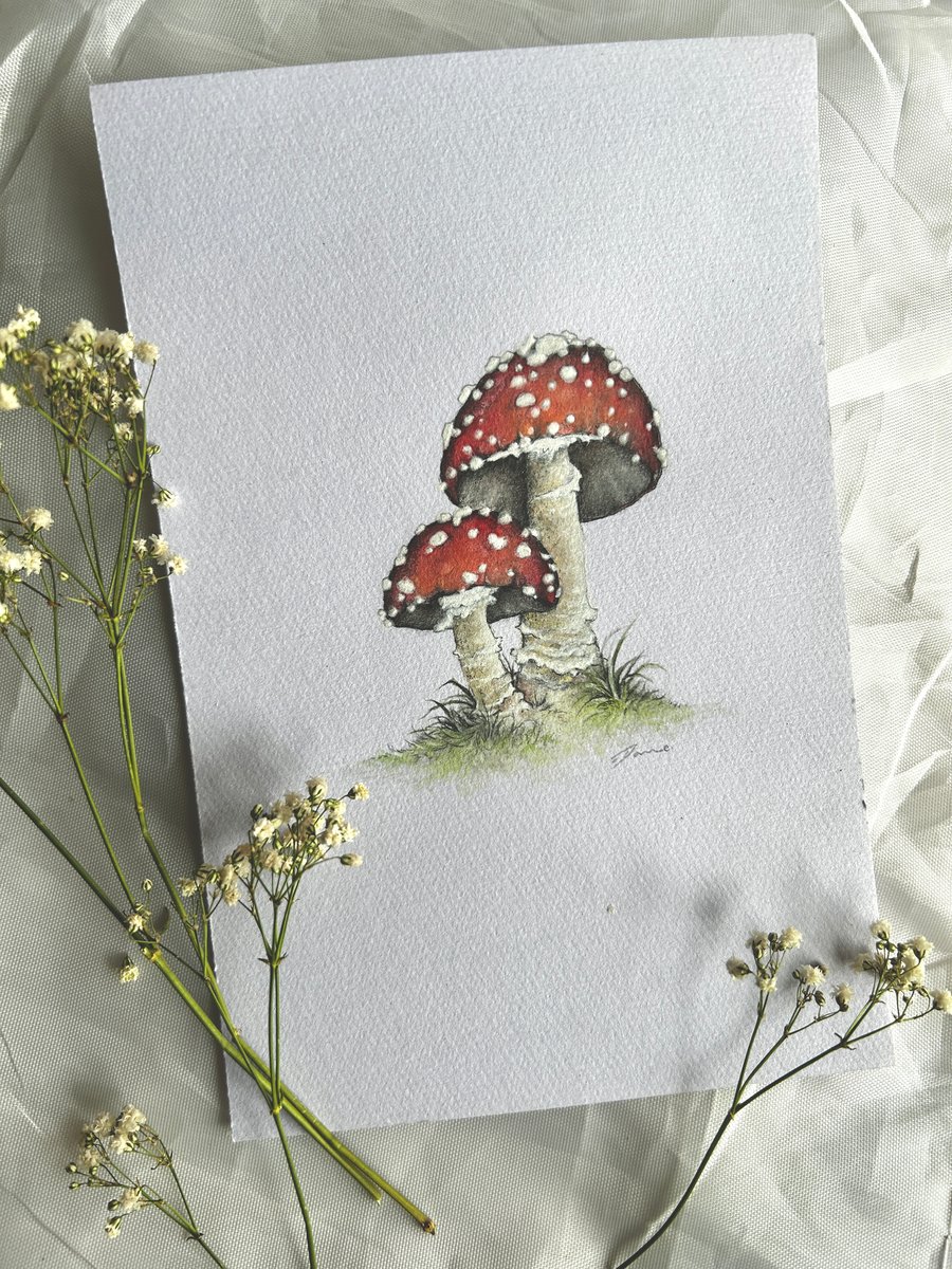 Original watercolour fly agaric mushrooms set of 3