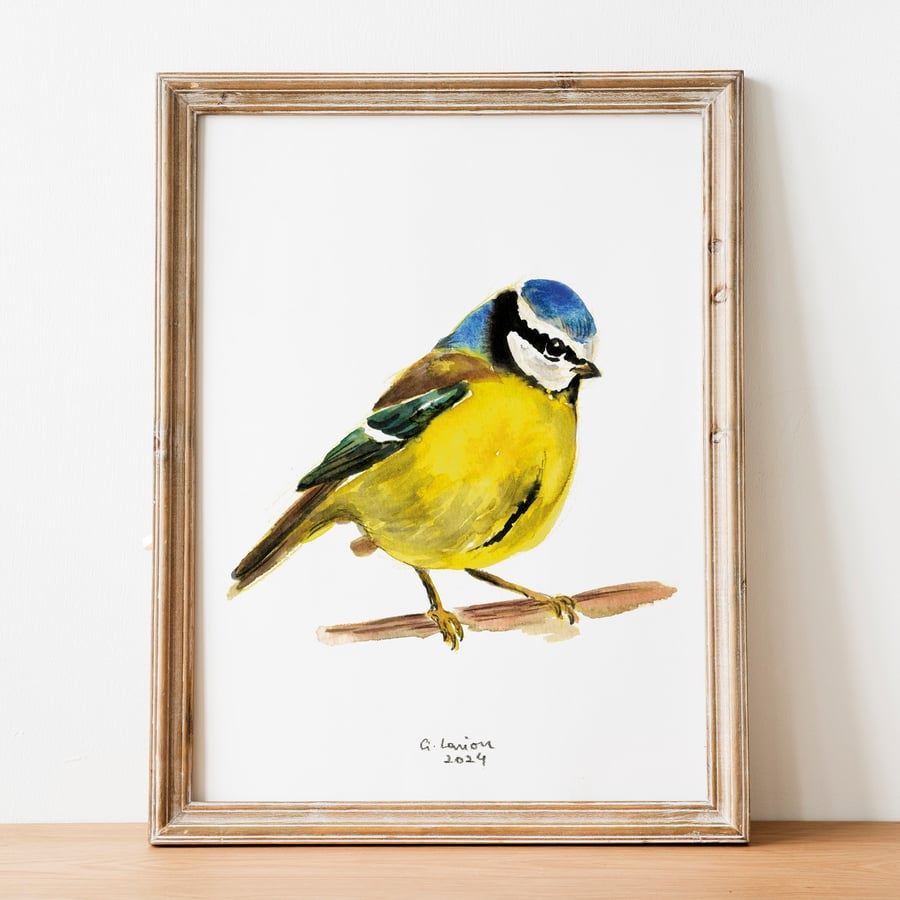 Blue Tit A5 Inkjet Print