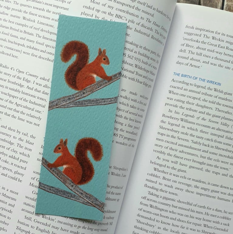 Red Squirrels Bookmark
