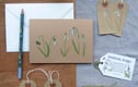 Cards and Stationery