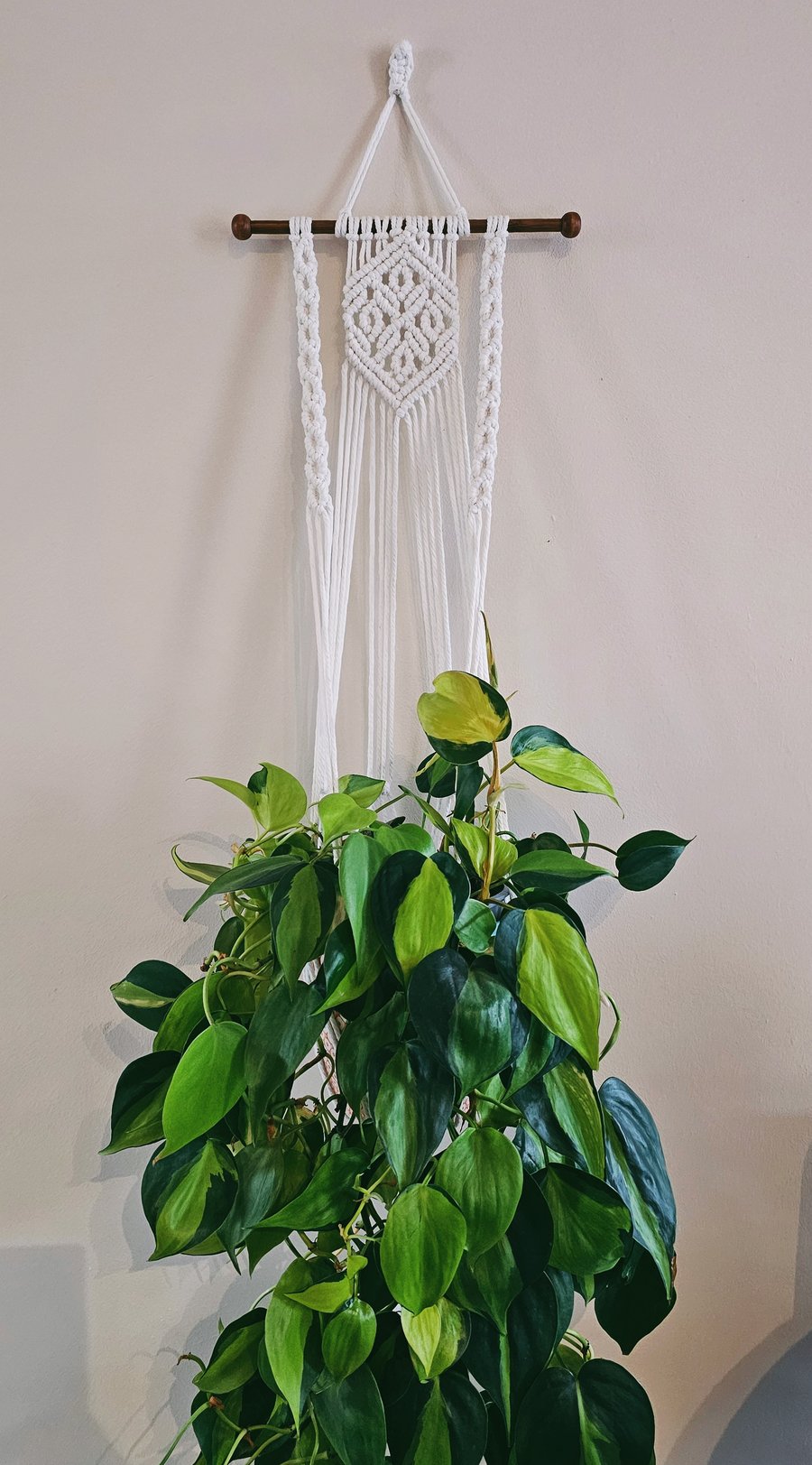 Handmade Macrame Plant Hanger - Boho Wall Hanging, 80cm (Natural Cotton Rope)