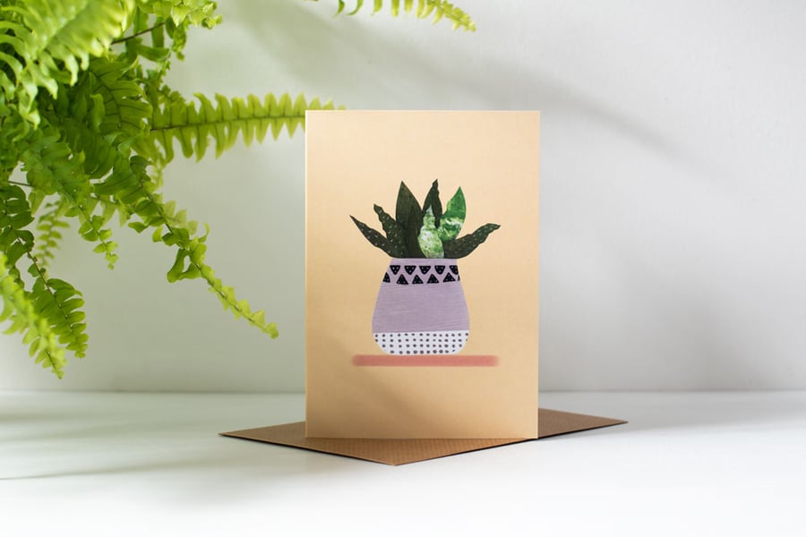 Hello Vera! House Plant Greeting Card - Note  Card - Aloe Vera