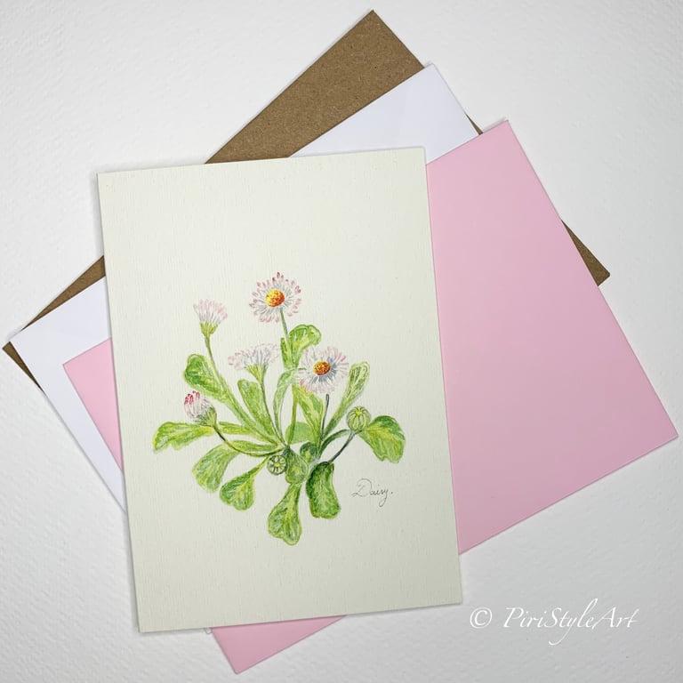Common Daisy Botanical Greeting Card – Pinks & Greens Collection