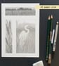 Pencil drawings 2 - Egret, Landscape and reedmace, original art, A5 drawing - Image 2