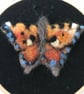 Needle felted-tortoiseshell-butterfly-hoop artwork - Image 2