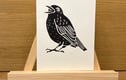 Prints
