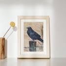 Raven giclee print, raven, A4