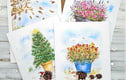 BLANK AND ALL OCCASIONS CARDS