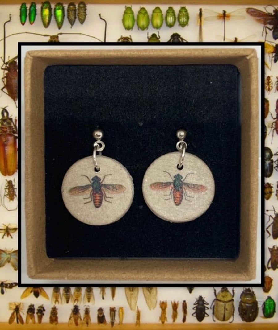 Bug stud clay earring