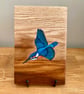 Kingfisher (flying) original painting on Oak wood