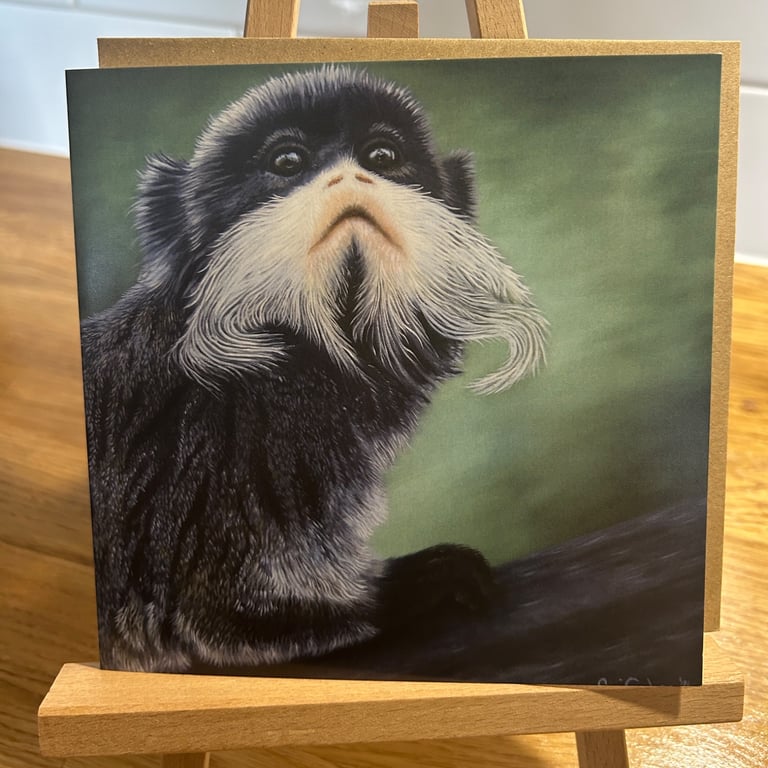 6 x 6 inch Emperor Tamarin Card