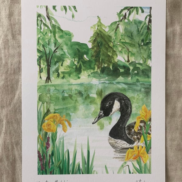 Serenity on the Lake A4 & A3 Eco-Friendly Art Print