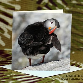 Exclusive Handmade Puffin Poser Greetings Card on Archive Photo Paper