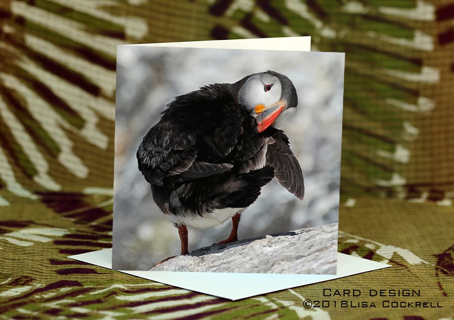 Exclusive Handmade Puffin Poser Greetings Card on Archive Photo Paper